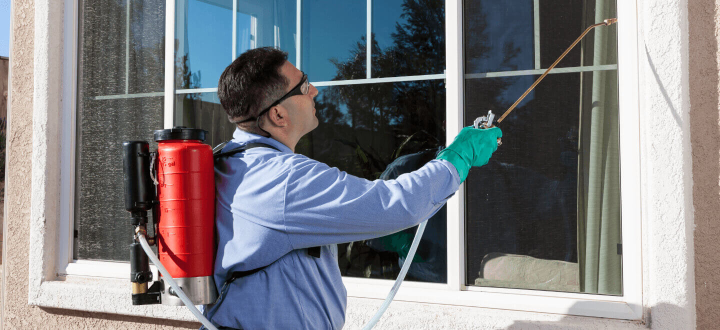 Commercial Pest Control: Tips for Effective Implementation